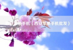 西安苹果手机（西安苹果手机批发）