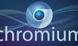 Chromium浏览器安卓版最新版谷歌浏览器下载手机版「Chromium浏览器安卓版最新版」