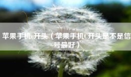 苹果手机c开头（苹果手机C开头是不是信号最好）