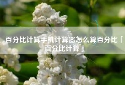 百分比计算手机计算器怎么算百分比「百分比计算」