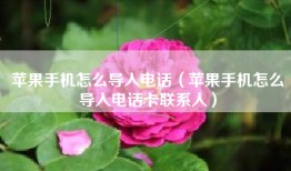 苹果手机怎么导入电话（苹果手机怎么导入电话卡联系人）