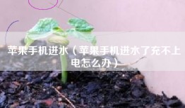 苹果手机进水（苹果手机进水了充不上电怎么办）