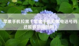 苹果手机拉黑（苹果手机拉黑电话号码还能收到短信吗）