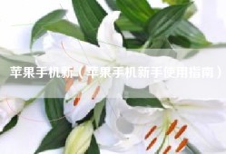 苹果手机新（苹果手机新手使用指南）