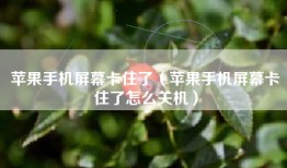 苹果手机屏幕卡住了（苹果手机屏幕卡住了怎么关机）