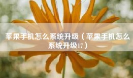 苹果手机怎么系统升级（苹果手机怎么系统升级17）