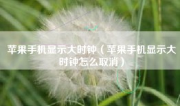 苹果手机显示大时钟（苹果手机显示大时钟怎么取消）