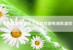 手机控制电视机（手机控制电视机遥控器的软件）