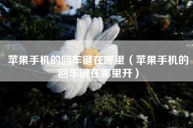 苹果手机的回车键在哪里（苹果手机的回车键在哪里开）