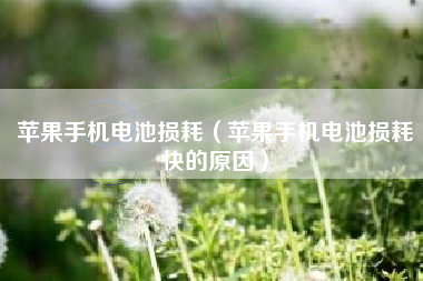 苹果手机电池损耗（苹果手机电池损耗快的原因）