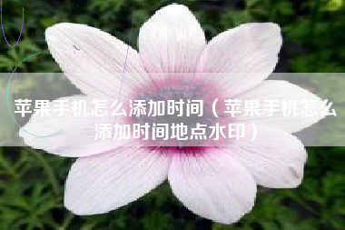 苹果手机怎么添加时间（苹果手机怎么添加时间地点水印）